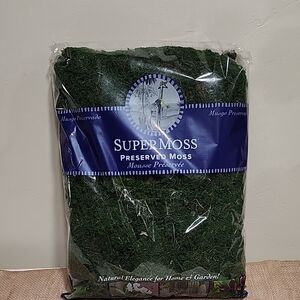 Preserved Moss - Green